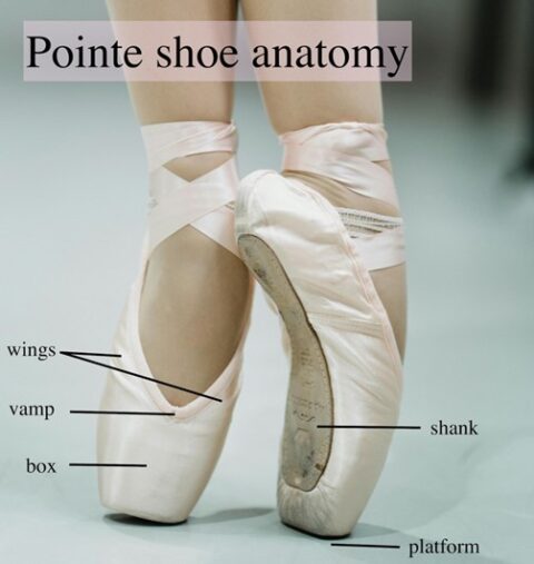 Your dancer's first pointe shoe fitting