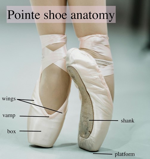 Anatomy of a pointe shoe. Image showing a pair of pointe shoes with labels designating the wings, vamp, box, shank, and platform